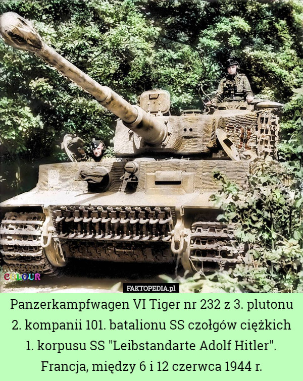 Panzerkampfwagen VI Tiger nr 232 z 3. plutonu 2. kompanii 101. batalionu...