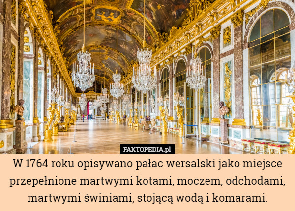 W 1764 roku opisywano pałac wersalski jako miejsce przepełnione martwymi...