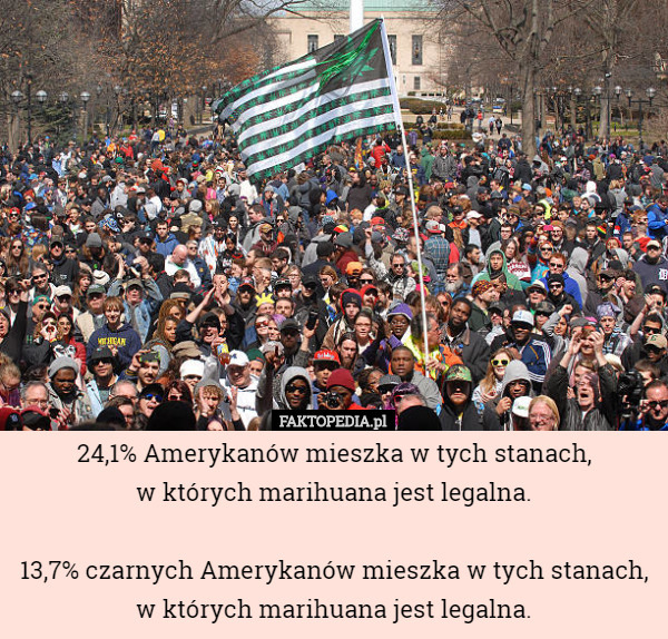 24,1% Amerykanów mieszka w tych stanach, w których marihuana jest...