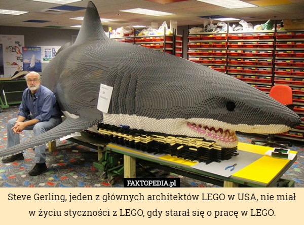 Steve Gerling, jeden z głównych architektów LEGO w USA, nie miał w życiu...