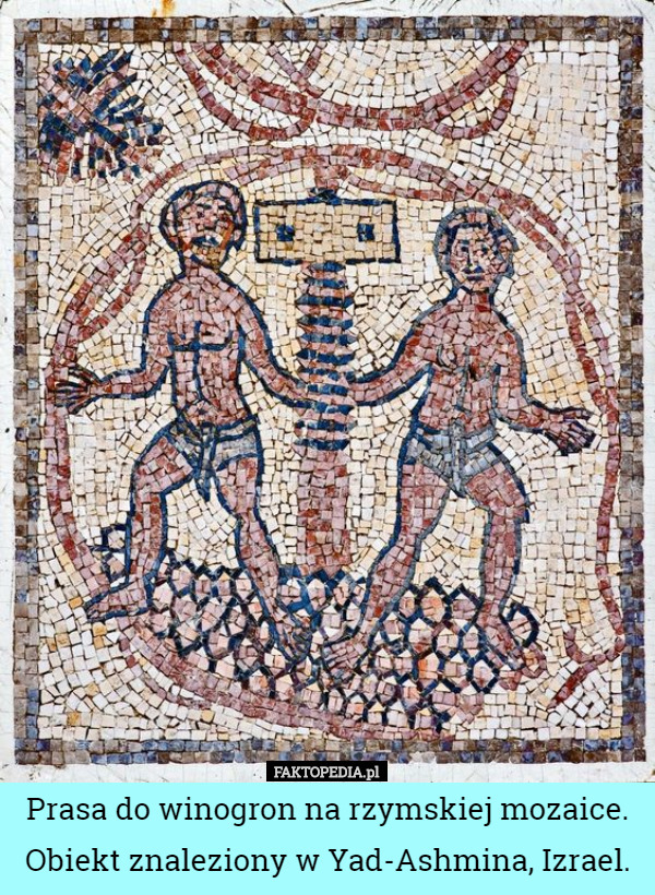 Prasa do winogron na rzymskiej mozaice. Obiekt znaleziony w Yad-Ashmina...