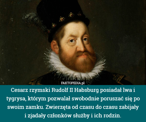 Cesarz rzymski Rudolf II Habsburg posiadał lwa i tygrysa, którym pozwalał...
