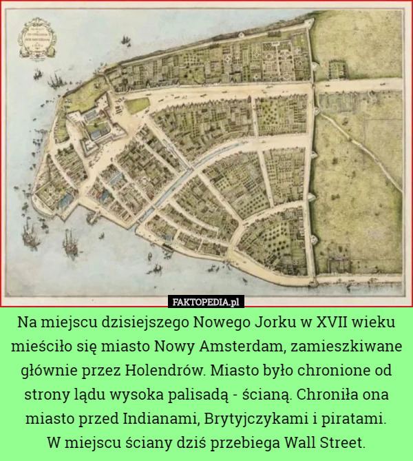 Na miejscu dzisiejszego Nowego Jorku w XVII wieku mieściło się miasto Nowy...