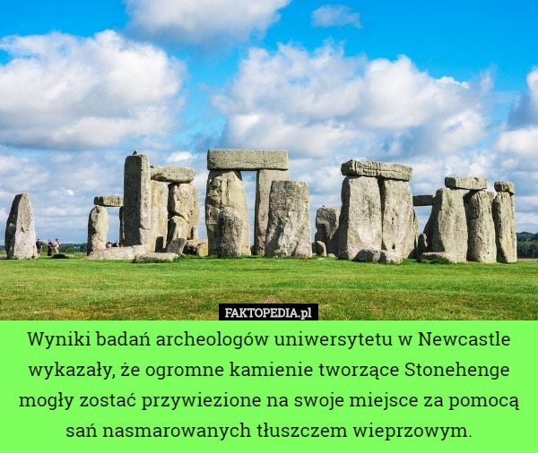 Wyniki badań archeologów uniwersytetu w Newcastle wykazały, że ogromne...