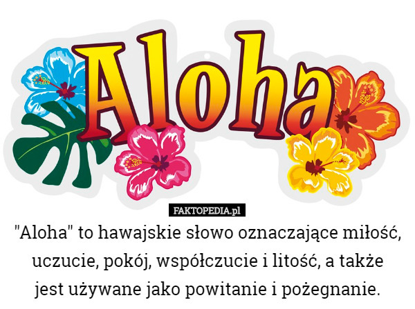 "Aloha" to hawajskie słowo oznaczające miłość, uczucie, pokój...