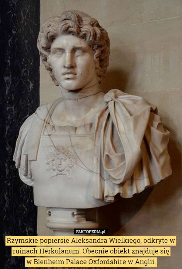 Rzymskie popiersie Aleksandra Wielkiego, odkryte w ruinach Herkulanum. Obecnie...
