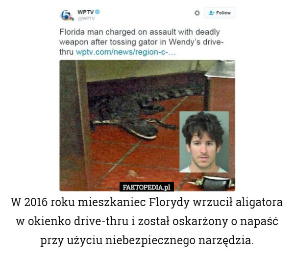 W 2016 roku mieszkaniec Florydy wrzucił aligatora w okienko drive-thru i...