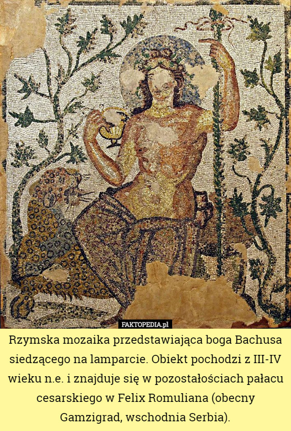 Rzymska mozaika przedstawiająca boga Bachusa siedzącego na lamparcie. Obiekt...