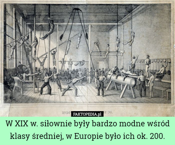 W XIX w. siłownie były bardzo modne wśród klasy średniej, w Europie było...