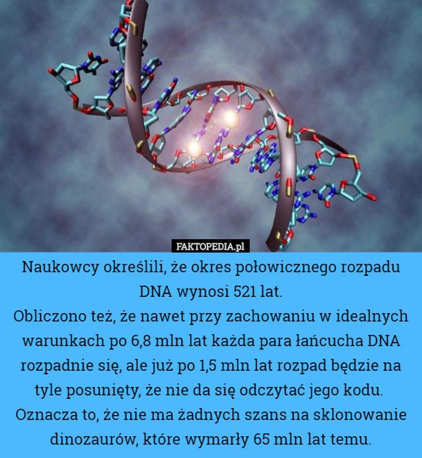 Naukowcy określili, że okres połowicznego rozpadu DNA wynosi 521 lat. Obliczono...