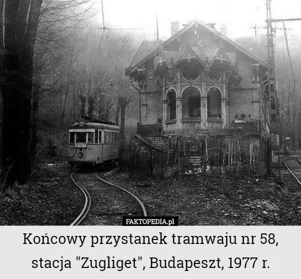 Końcowy przystanek tramwaju nr 58, stacja "Zugliget", Budapeszt...