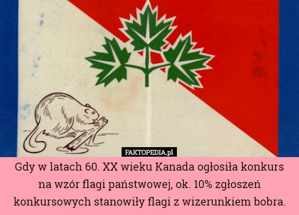 Gdy w latach 60. XX wieku Kanada ogłosiła konkurs na wzór flagi...