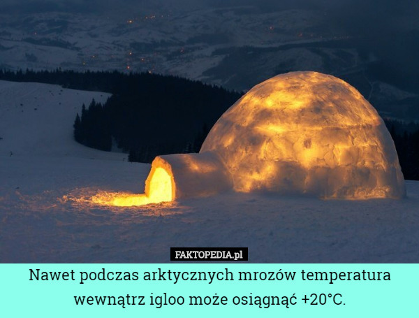 Nawet podczas arktycznych mrozów temperatura wewnątrz igloo może osiągnąć