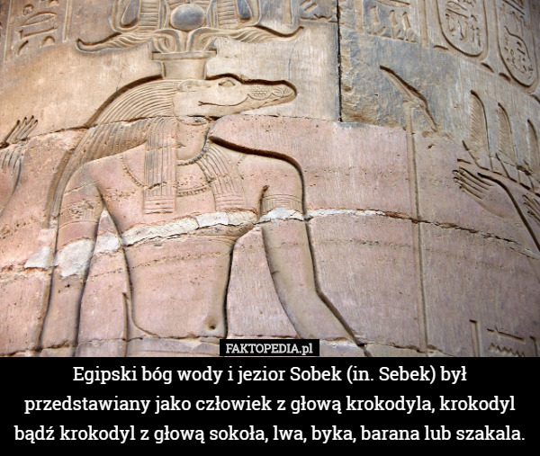 Egipski bóg wody i jezior Sobek (in. Sebek) był przedstawiany jako człowiek...