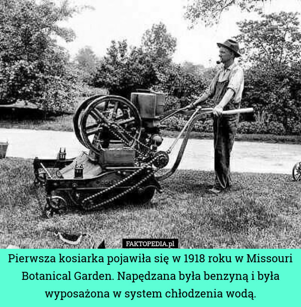 Pierwsza kosiarka pojawiła się w 1918 roku w Missouri Botanical Garden.