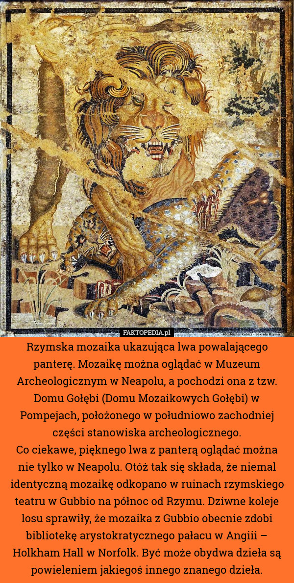 Rzymska mozaika ukazująca lwa powalającego panterę. Mozaikę można oglądać