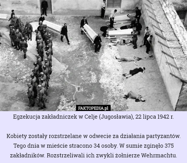Egzekucja zakładniczek w Celje (Jugosławia), 22 lipca 1942 r. Kobiety zostały...