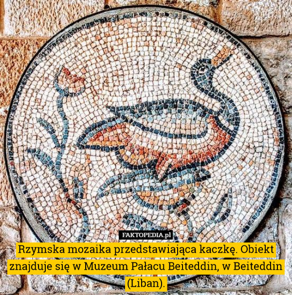 Rzymska mozaika przedstawiająca kaczkę. Obiekt znajduje się w Muzeum Pałacu