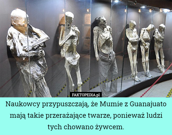 Naukowcy przypuszczają, że Mumie z Guanajuato mają takie przerażające twarze...