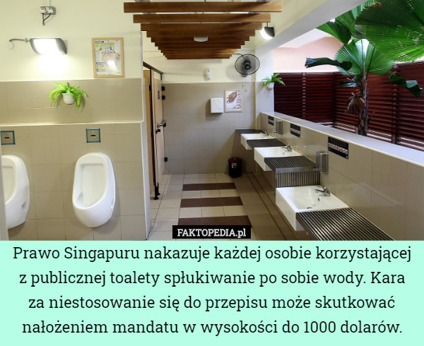 Prawo Singapuru nakazuje każdej osobie korzystającej z publicznej toalety