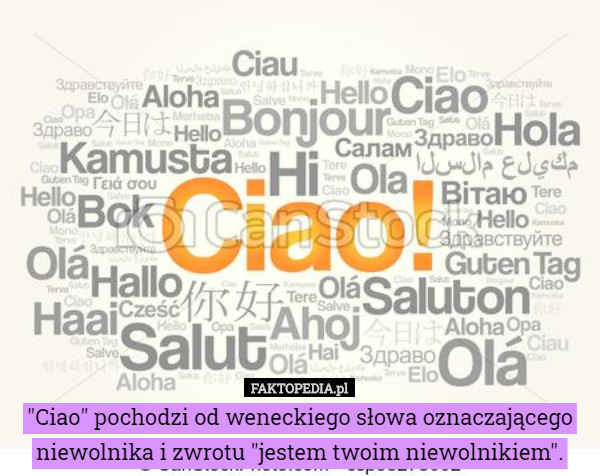 "Ciao" pochodzi od weneckiego słowa oznaczającego niewolnika i...