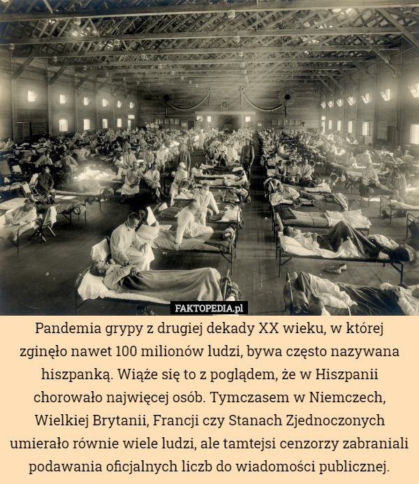 Pandemia grypy z drugiej dekady XX wieku, w której zginęło nawet 100 milionów...
