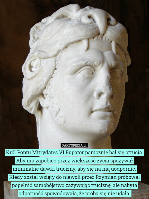 Król Pontu Mitrydates VI Eupator panicznie bał się otrucia. Aby mu zapobiec...