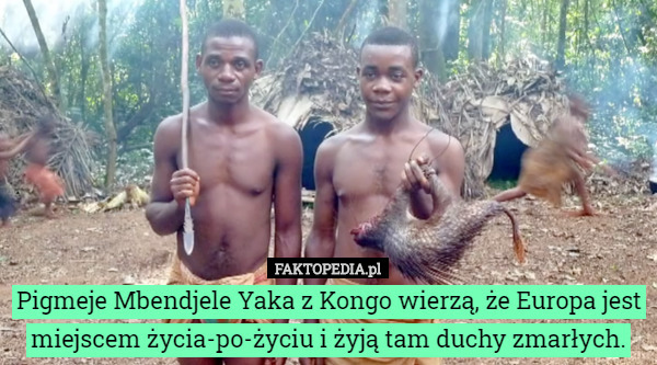 Pigmeje Mbendjele Yaka z Kongo wierzą, że Europa jest miejscem życia-po-życiu...