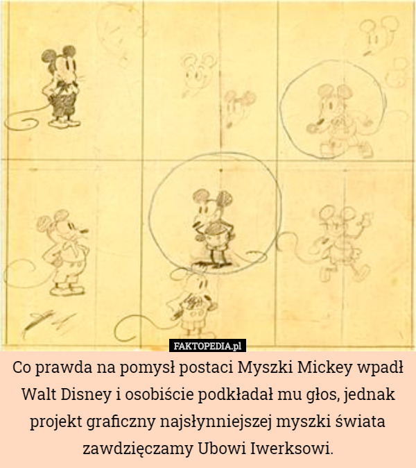 Co prawda na pomysł postaci Myszki Mickey wpadł Walt Disney i osobiście...