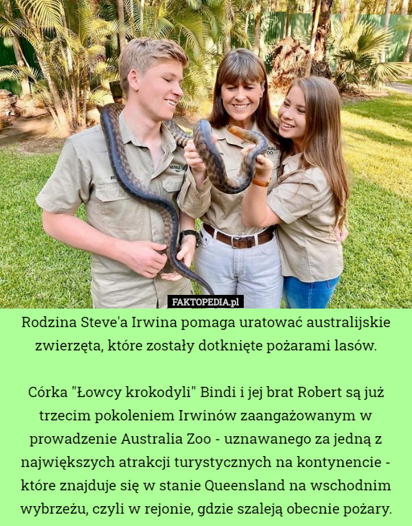Rodzina Steve'a Irwina pomaga uratować australijskie zwierzęta, które...
