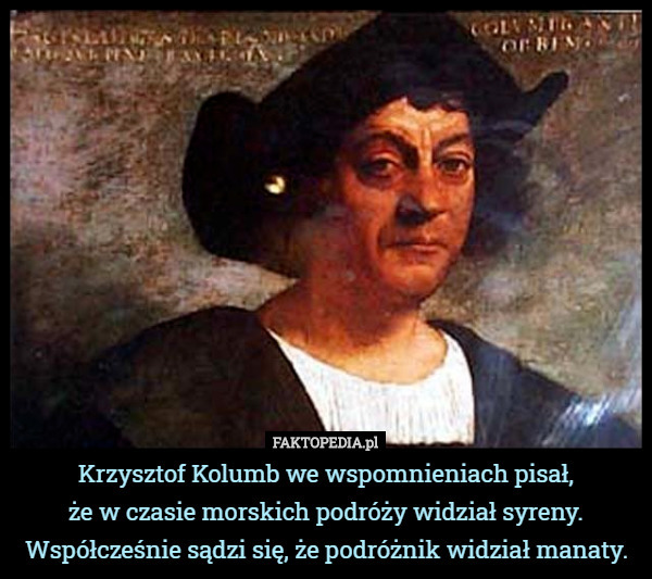Krzysztof Kolumb we wspomnieniach pisał, że w czasie morskich podróży widział...
