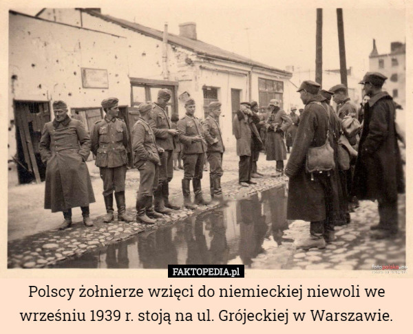 Polscy żołnierze wzięci do niemieckiej niewoli we wrześniu 1939 r. stoją...