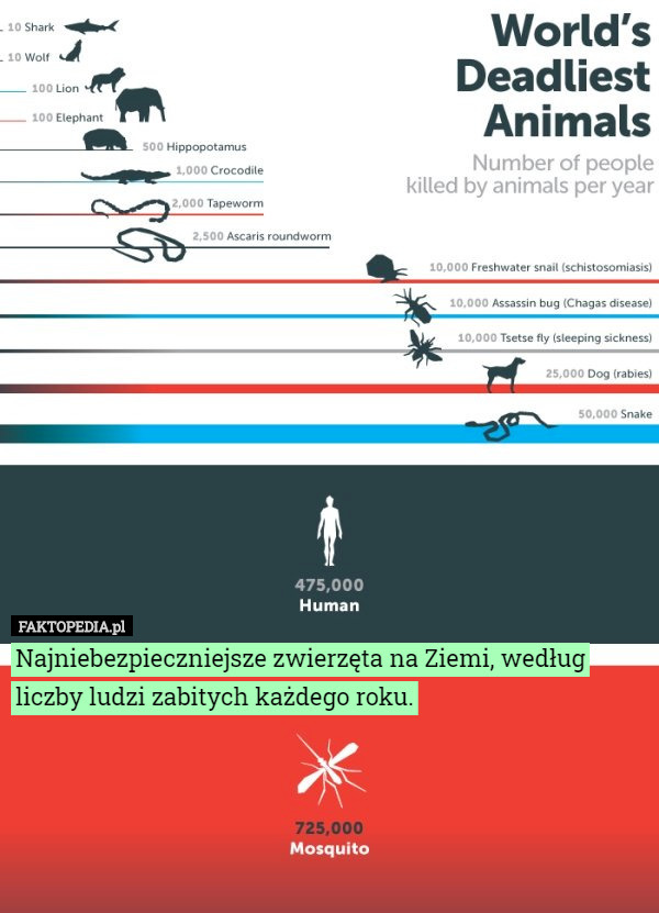 Najniebezpieczniejsze zwierzęta na Ziemi, według liczby ludzi zabitych każdego