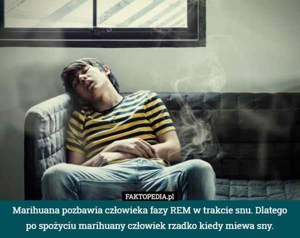 Marihuana pozbawia człowieka fazy REM w trakcie snu. Dlatego po spożyciu
