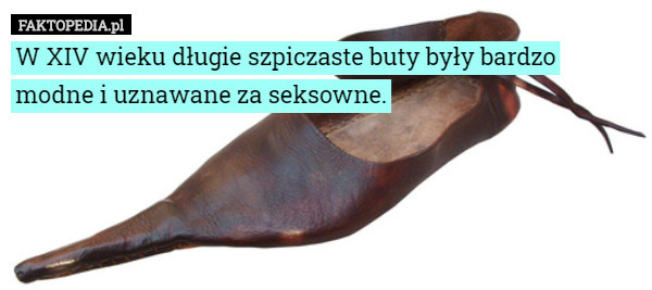 W XIV wieku długie szpiczaste buty były bardzo modne i uznawane za...