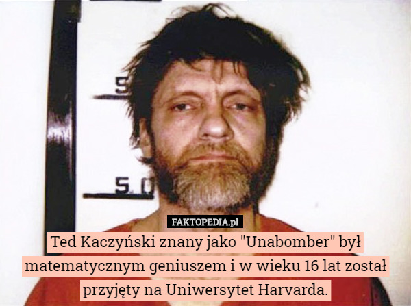 Ted Kaczyński znany jako "Unabomber" był matematycznym geniuszem...
