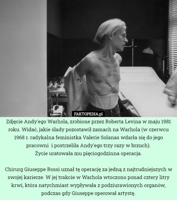 Zdjęcie Andy'ego Warhola, zrobione przez Roberta Levina w maju 1981...