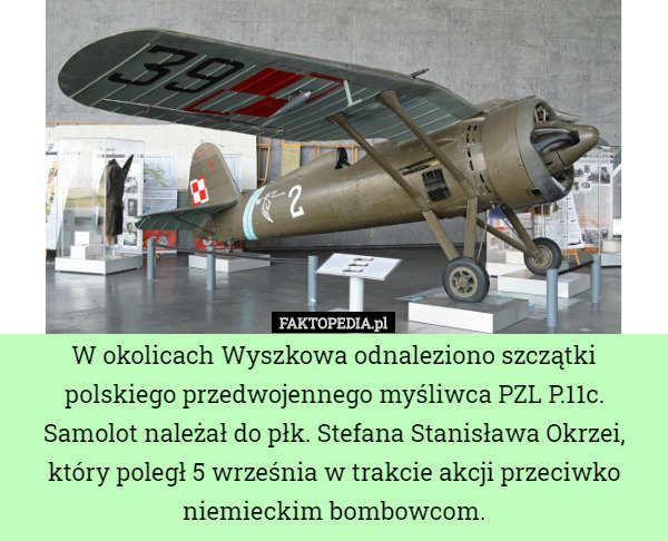 W okolicach Wyszkowa odnaleziono szczątki polskiego przedwojennego myśliwca