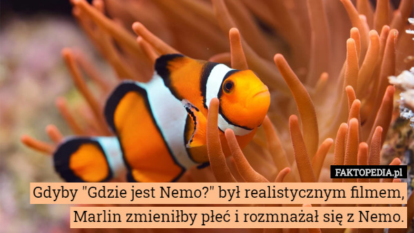 Gdyby "Gdzie jest Nemo?" był realistycznym filmem, Marlin zmieniłby