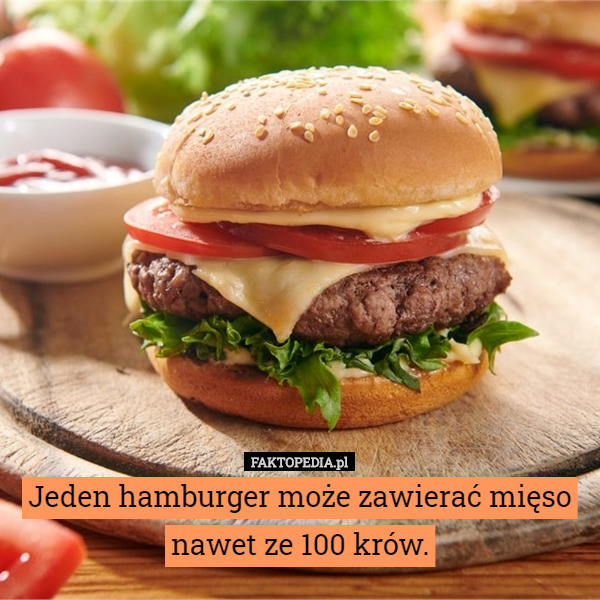 Jeden hamburger może zawierać mięso nawet ze 100 krów.