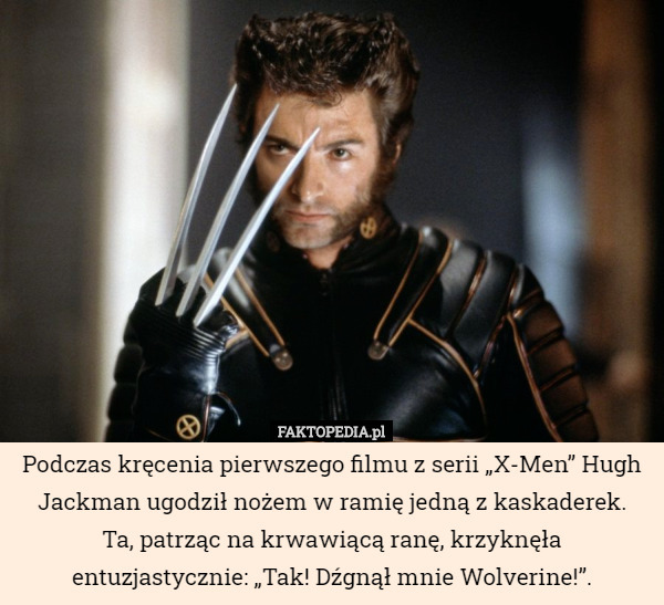 Podczas kręcenia pierwszego filmu z serii „X-Men” Hugh Jackman ugodził nożem...