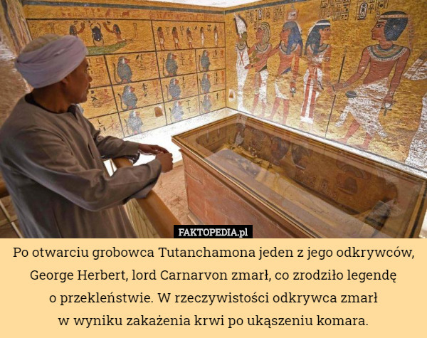 Po otwarciu grobowca Tutanchamona jeden z jego odkrywców, George Herbert...