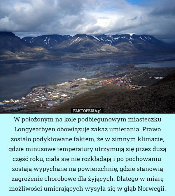 W położonym na kole podbiegunowym miasteczku Longyearbyen obowiązuje zakaz