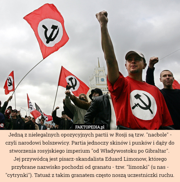 Jedną z nielegalnych opozycyjnych partii w Rosji są tzw. "nacbole"...