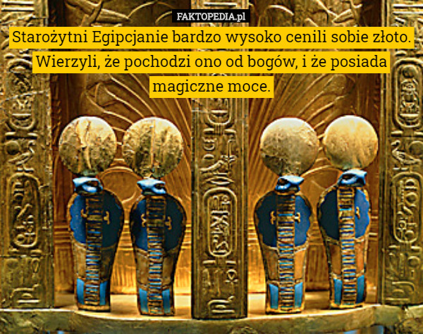 Starożytni Egipcjanie bardzo wysoko cenili sobie złoto. Wierzyli, że pochodzi...