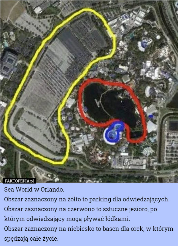 Sea World w Orlando.Obszar zaznaczony na żółto to parking dla odwiedzających.