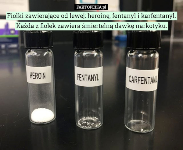 Fiolki zawierające od lewej: heroinę, fentanyl i karfentanyl. Każda z fiolek...