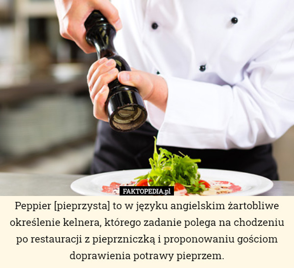 Peppier [pieprzysta] to w języku angielskim żartobliwe określenie kelnera,