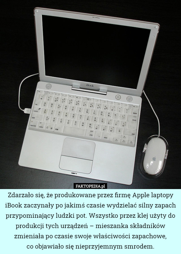 Zdarzało się, że produkowane przez firmę Apple laptopy iBook zaczynały po