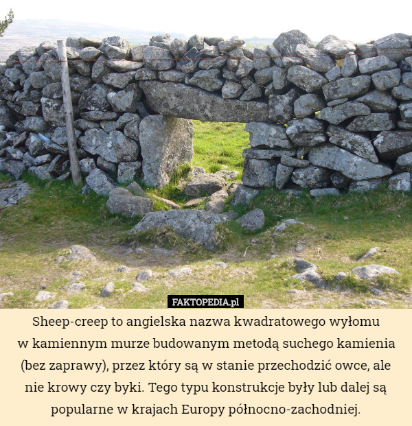 Sheep-creep to angielska nazwa kwadratowego wyłomu
w kamiennym murze budowanym